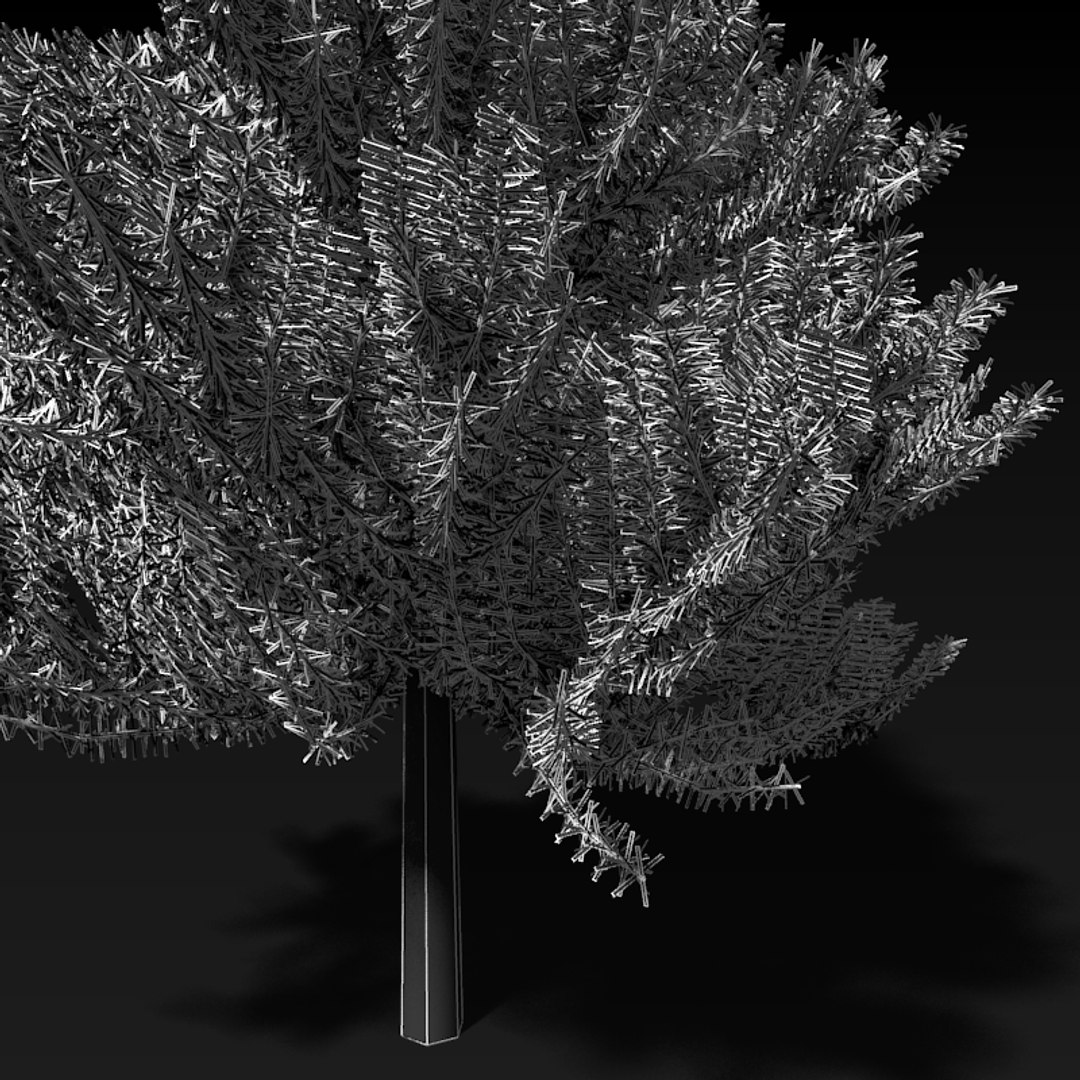 3d Pine Tree Model