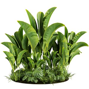 plant vol 788 -  Banana - Monstera - Grass - Garden