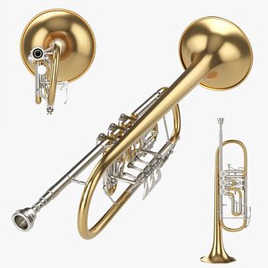 Rotary valve trumpet 3D