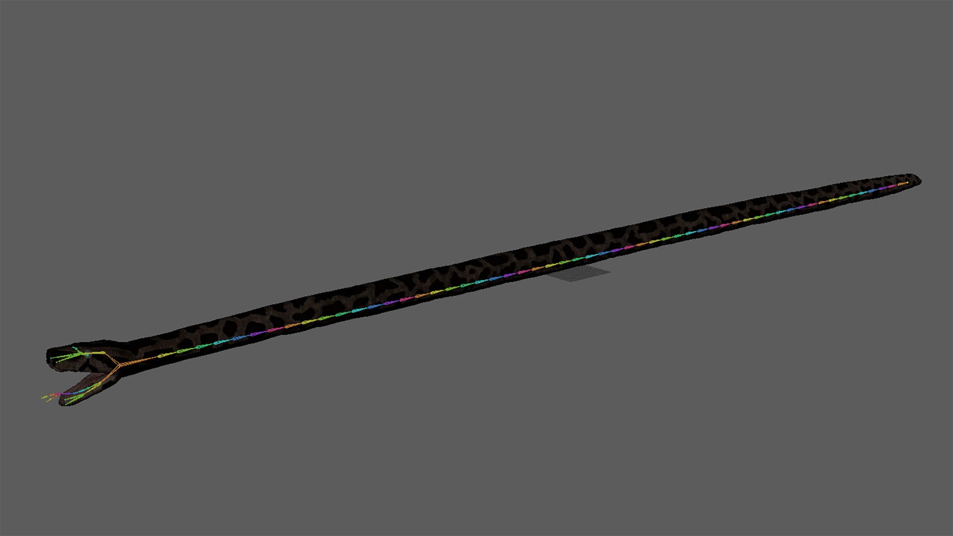 Burmese Python Rigged Animated 3D Model - TurboSquid 1727103