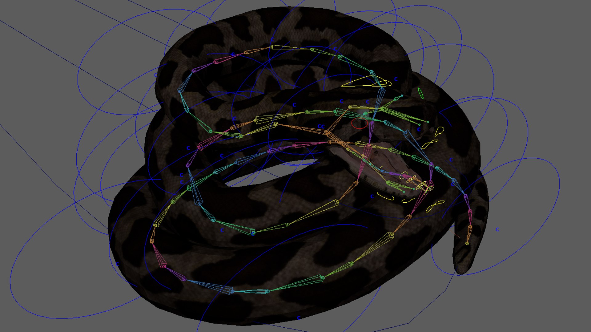 Burmese Python Rigged Animated 3D Model - TurboSquid 1727103