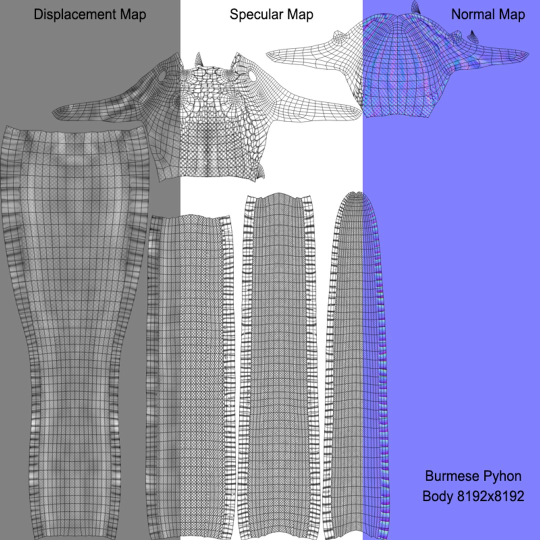 Burmese Python Rigged Animated 3D model - TurboSquid 1727103