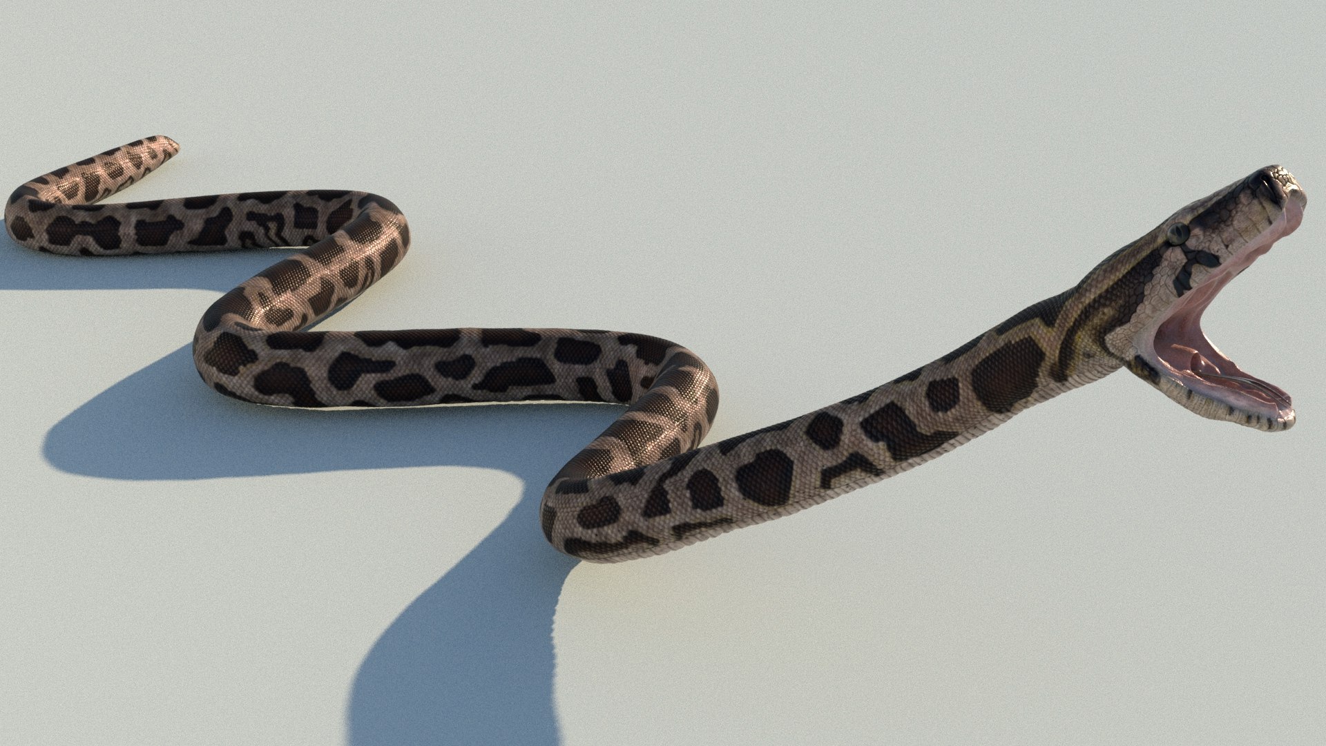 Burmese Python Rigged Animated 3D Model - TurboSquid 1727103