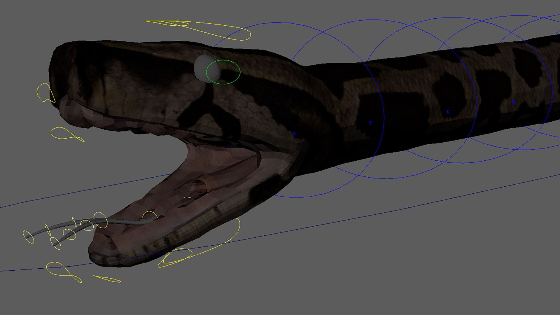 Burmese Python Rigged Animated 3D Model - TurboSquid 1727103