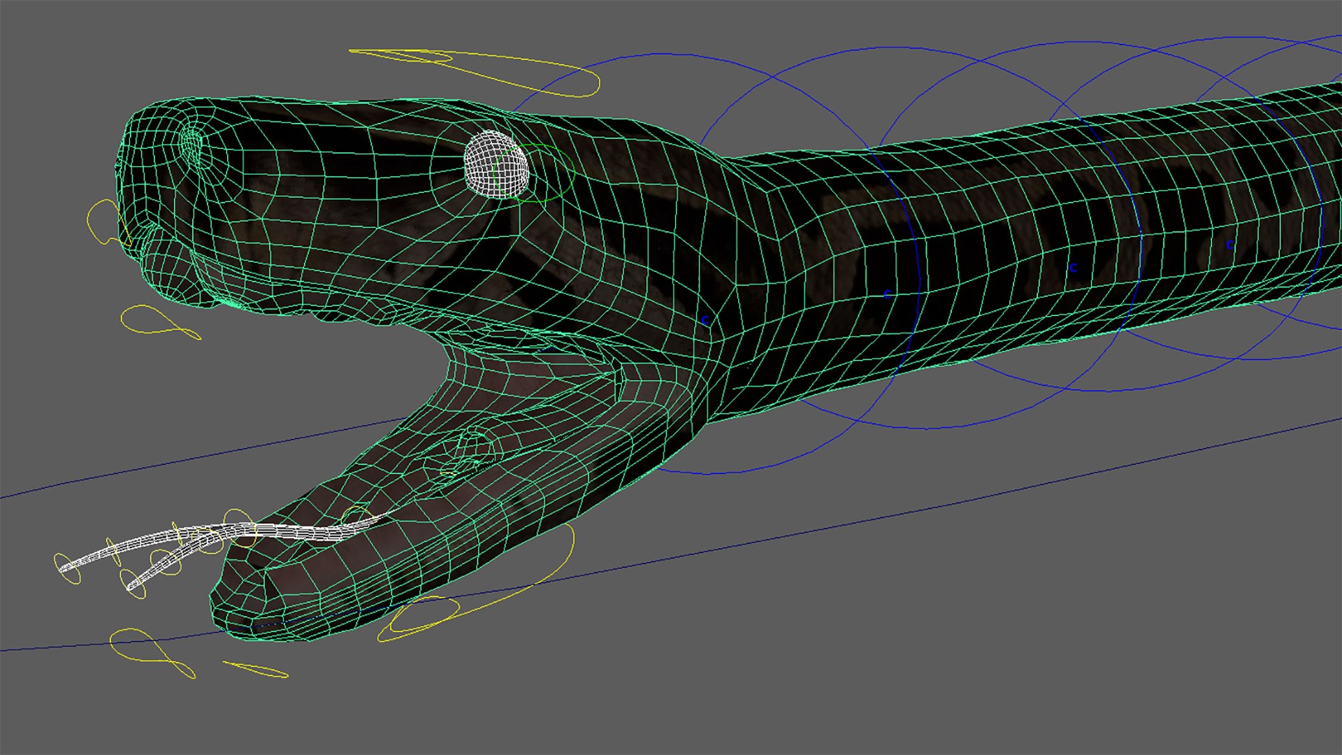 Burmese Python Rigged Animated 3D Model - TurboSquid 1727103