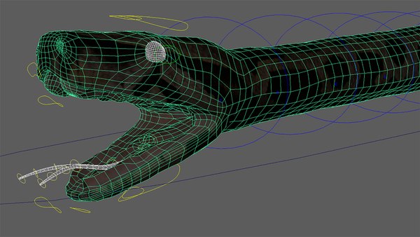 Burmese Python Rigged Animated 3D model - TurboSquid 1727103