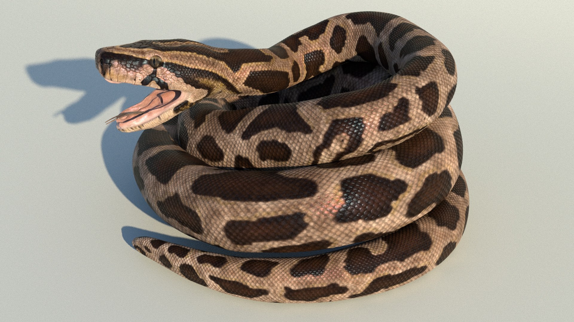 Burmese Python Rigged Animated 3D Model - TurboSquid 1727103