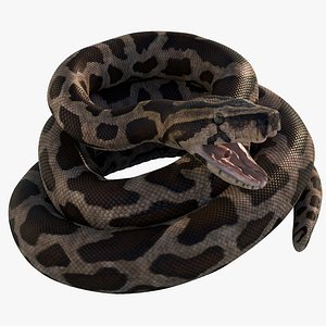 Burmese Python Rigged Animated