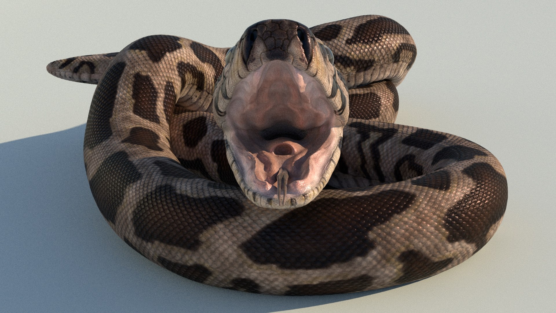 Burmese Python Rigged Animated 3D Model - TurboSquid 1727103