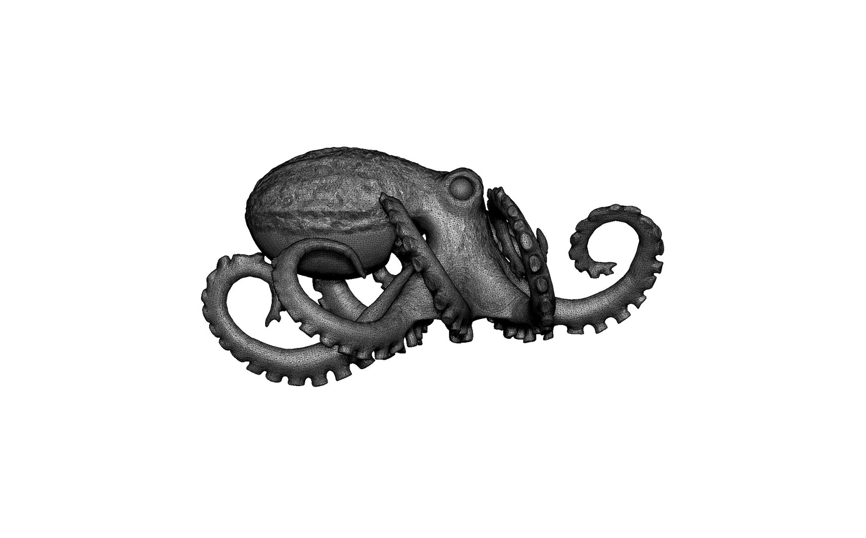 octopus 3D model https://p.turbosquid.com/ts-thumb/8G/hmlicy/MQ/7/jpg/1688619217/1920x1080/fit_q87/1425073bb789b551ee601886e9f9494608cab4e5/7.jpg