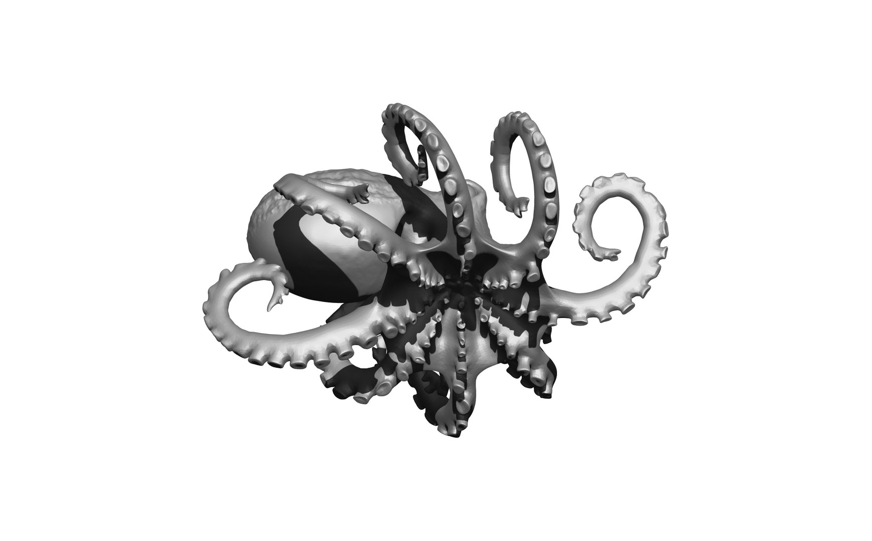 octopus 3D model https://p.turbosquid.com/ts-thumb/8G/hmlicy/PO/4/jpg/1688619215/1920x1080/fit_q87/e1af6b7389da46ec8a2ef0c19bd4ff139bc8a711/4.jpg