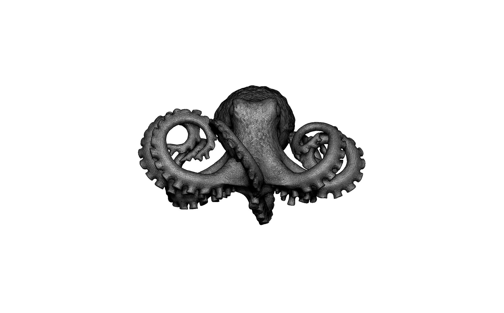octopus 3D model https://p.turbosquid.com/ts-thumb/8G/hmlicy/uS/6/jpg/1688619216/1920x1080/fit_q87/30a767de9e7d082790b0b6775054a130c552ca05/6.jpg