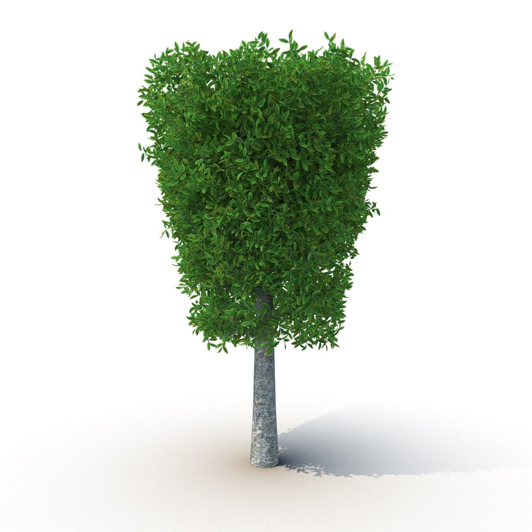 tree 3d obj