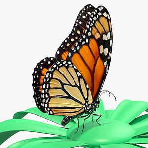 3D monarch butterfly sits swinging