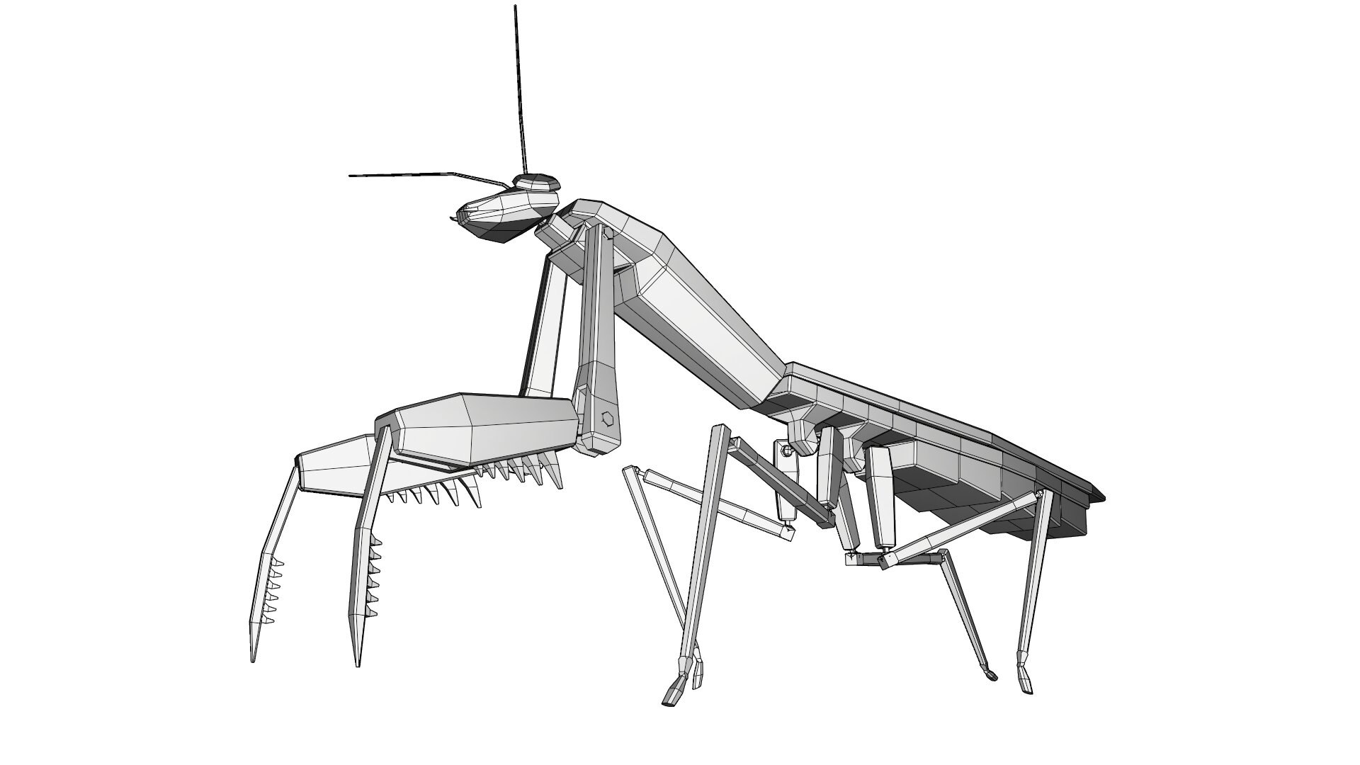3D model praying mantis - TurboSquid 1711398