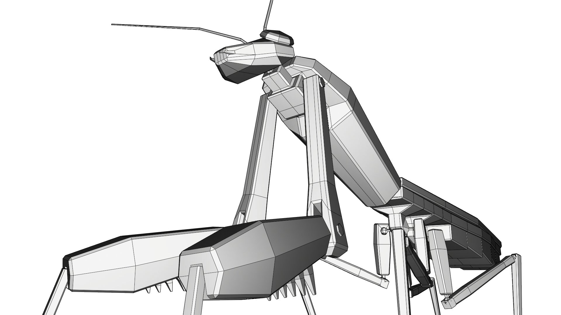 3D model praying mantis - TurboSquid 1711398