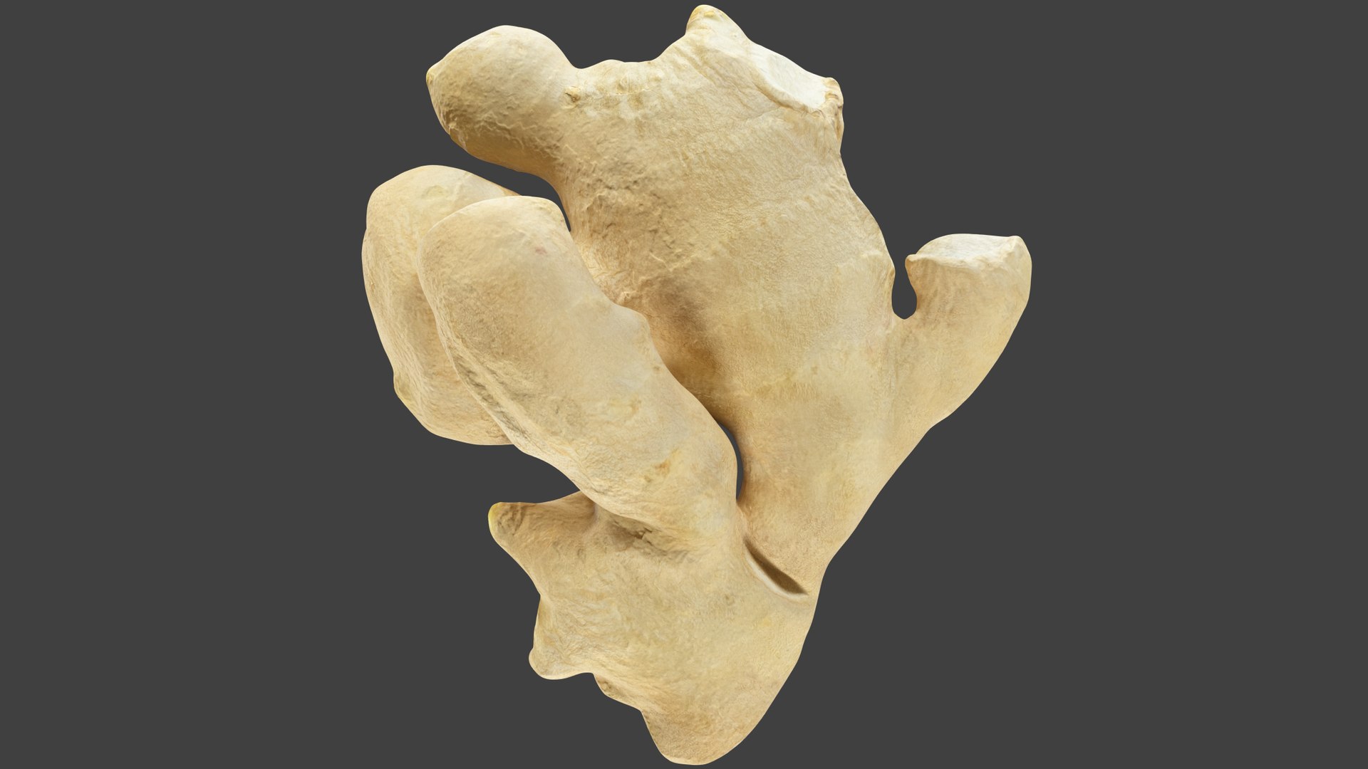 3D Ginger and Lemon Collection V1 https://p.turbosquid.com/ts-thumb/8G/t7aZEm/eo/g1_002/png/1707865889/1920x1080/fit_q87/227bee93738617c47291817c276b6d51289b9484/g1_002.jpg