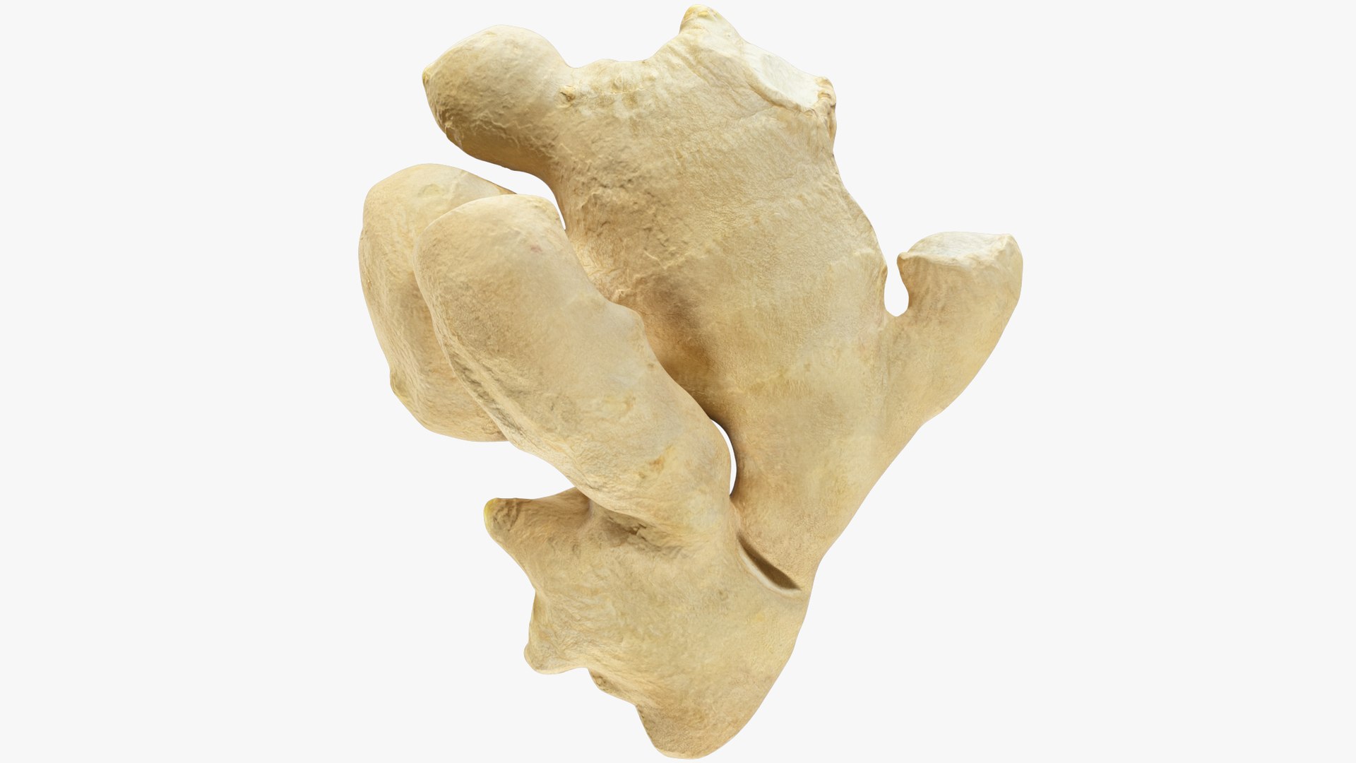3D Ginger and Lemon Collection V1 https://p.turbosquid.com/ts-thumb/8G/t7aZEm/g7/g1_001/png/1707865902/1920x1080/fit_q87/eccdc961500966ccff6d37d38c22737d47b58d52/g1_001.jpg