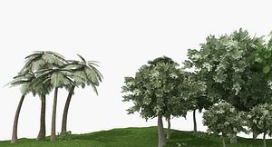 palm tree 3D model