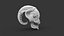 Alien Head Skull 3D print model