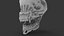 Alien Head Skull 3D print model