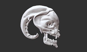 alien head skull 3D