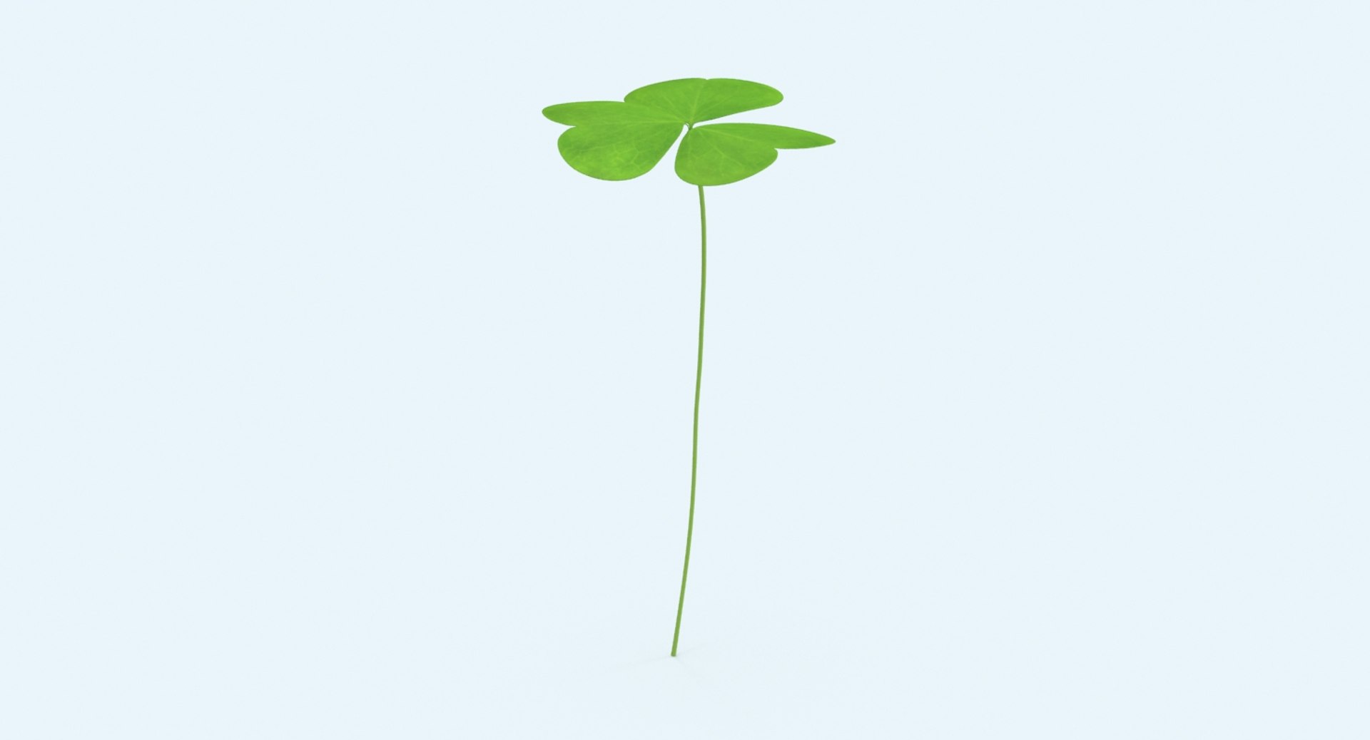 clover single standing 3d model https://p.turbosquid.com/ts-thumb/8H/I0yBFR/0R74wf5Y/clover_single_standing_productshot_0000/jpg/1487800760/1920x1080/fit_q87/a83cb52ae856c0d5cea0069778f4c4d197fcc976/clover_single_standing_productshot_0000.jpg