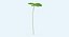 Clover Single Standing