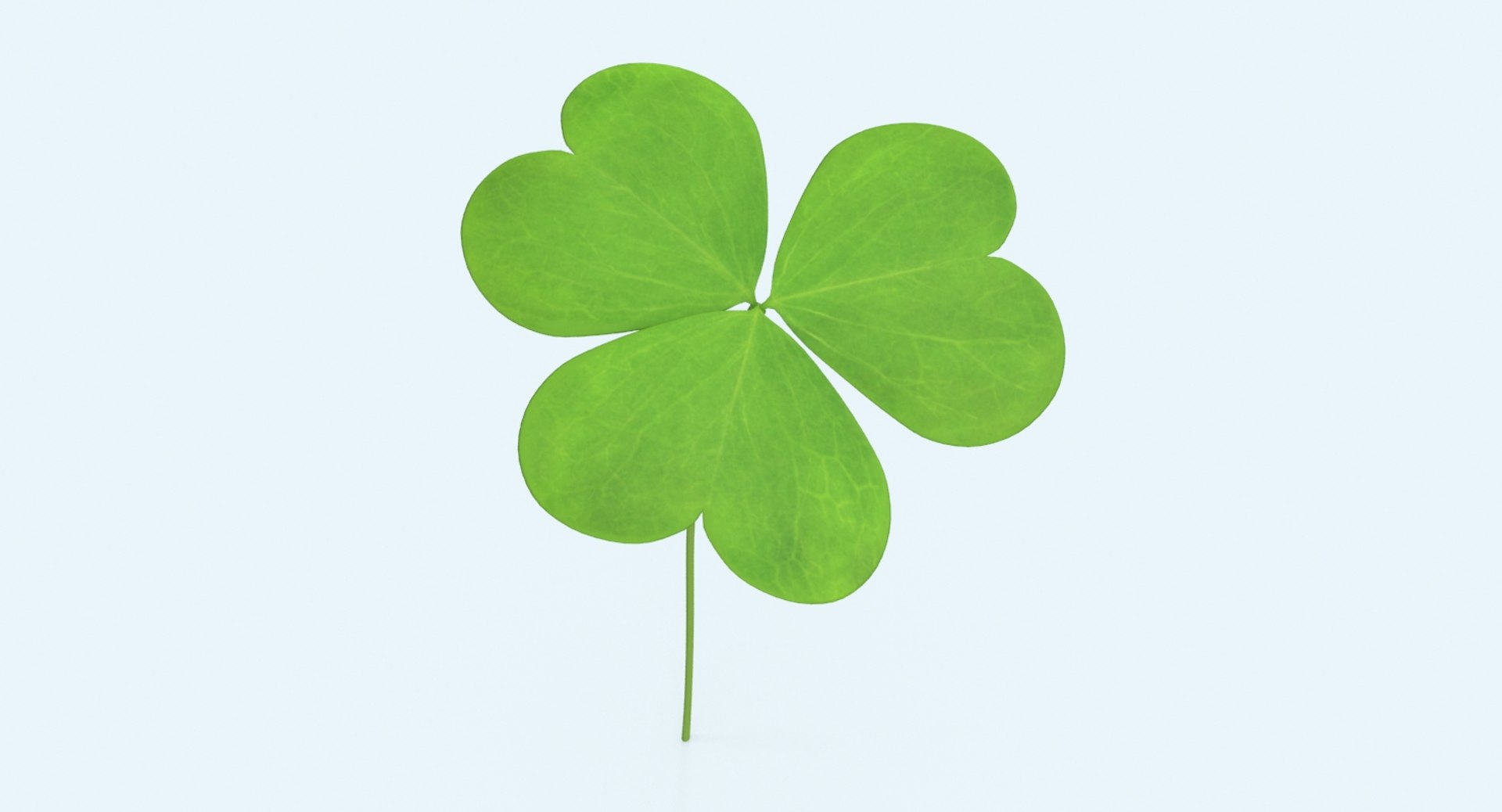 clover single standing 3d model https://p.turbosquid.com/ts-thumb/8H/I0yBFR/JkEzT7au/clover_single_standing_productshot_0004/jpg/1487800768/1920x1080/fit_q87/fbf23bd4091bb7489eed17101d7d1e52d7b33dcc/clover_single_standing_productshot_0004.jpg