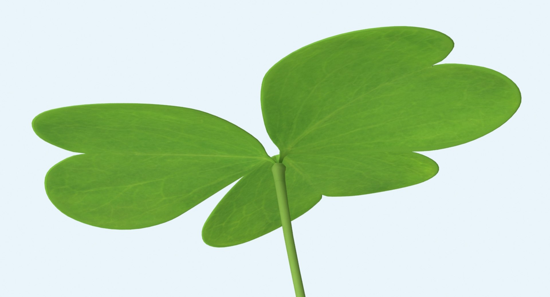 clover single standing 3d model https://p.turbosquid.com/ts-thumb/8H/I0yBFR/Q8Pj4rZC/clover_single_standing_productshot_0006/jpg/1487800773/1920x1080/fit_q87/d3d670b84159fdcb162f9f2fb911cd26b5ba01f5/clover_single_standing_productshot_0006.jpg
