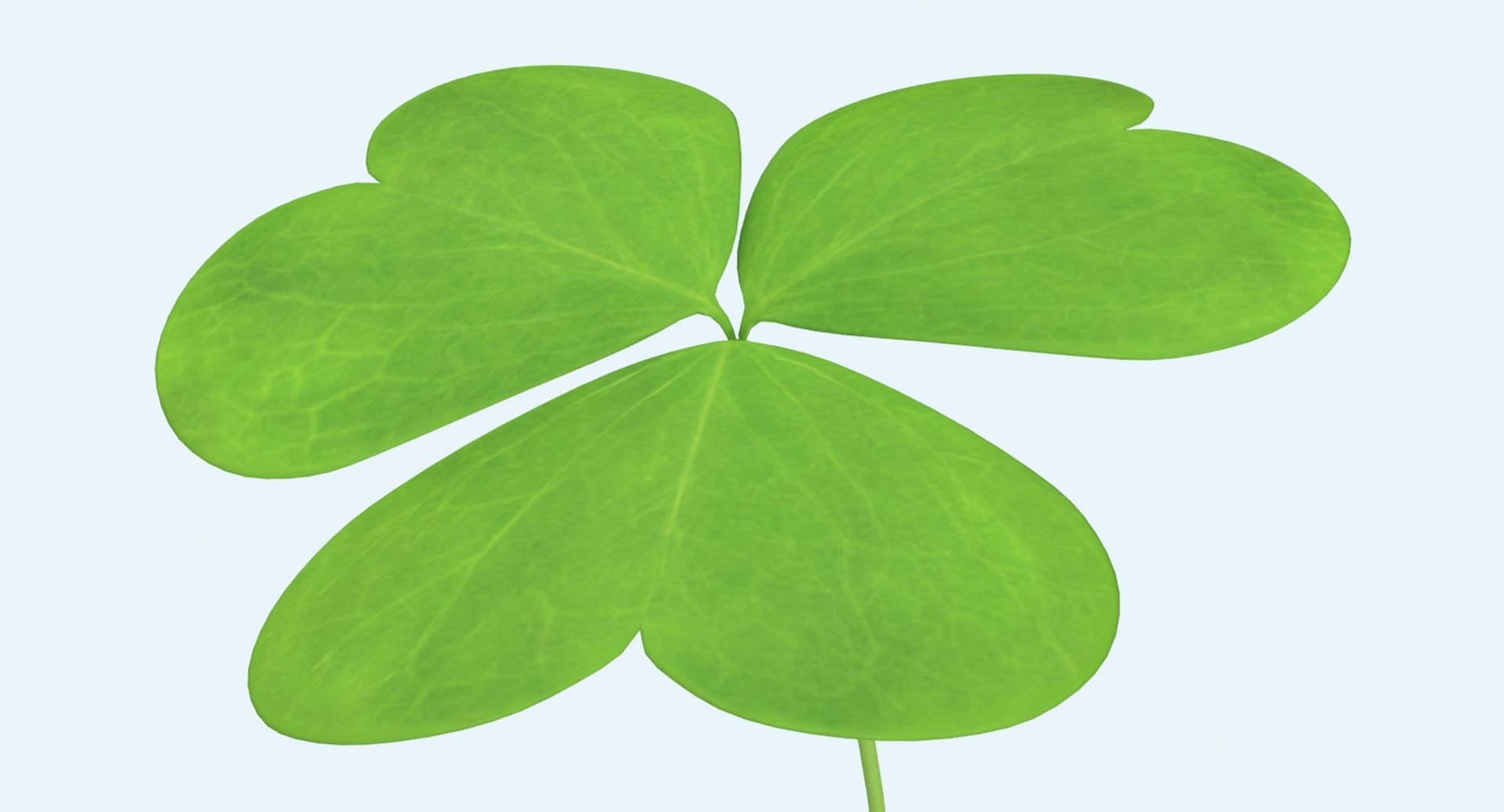 clover single standing 3d model https://p.turbosquid.com/ts-thumb/8H/I0yBFR/cCyxRQfO/clover_single_standing_productshot_0005/jpg/1487800771/1920x1080/fit_q87/a40503f0c523270cc4bd6766e8129e10222f958b/clover_single_standing_productshot_0005.jpg