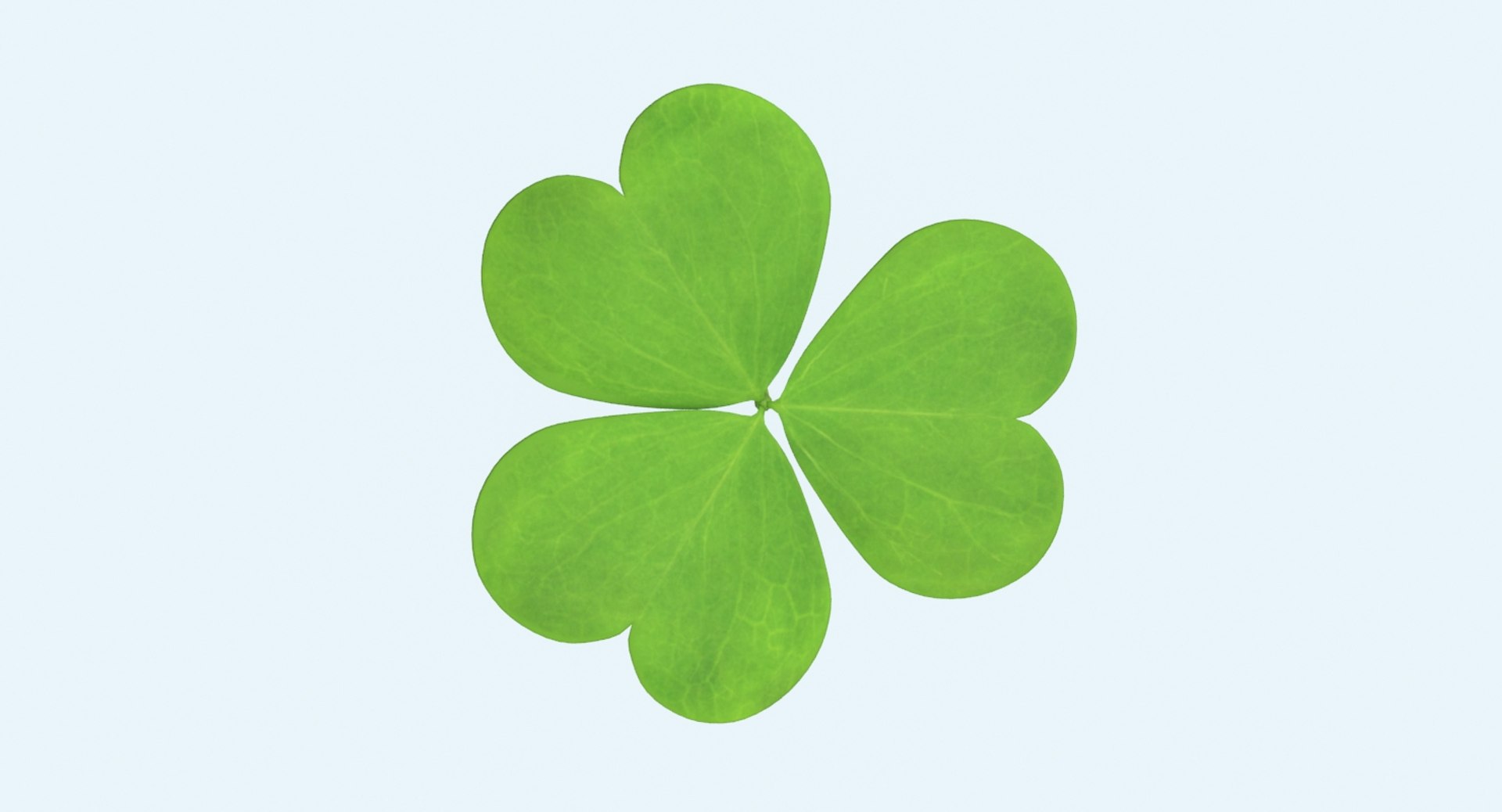 clover single standing 3d model https://p.turbosquid.com/ts-thumb/8H/I0yBFR/t6Ovi4iu/clover_single_standing_productshot_0001/jpg/1487800762/1920x1080/fit_q87/9fe8e479373d7e7e45ad56f4101b40d0fc769fed/clover_single_standing_productshot_0001.jpg