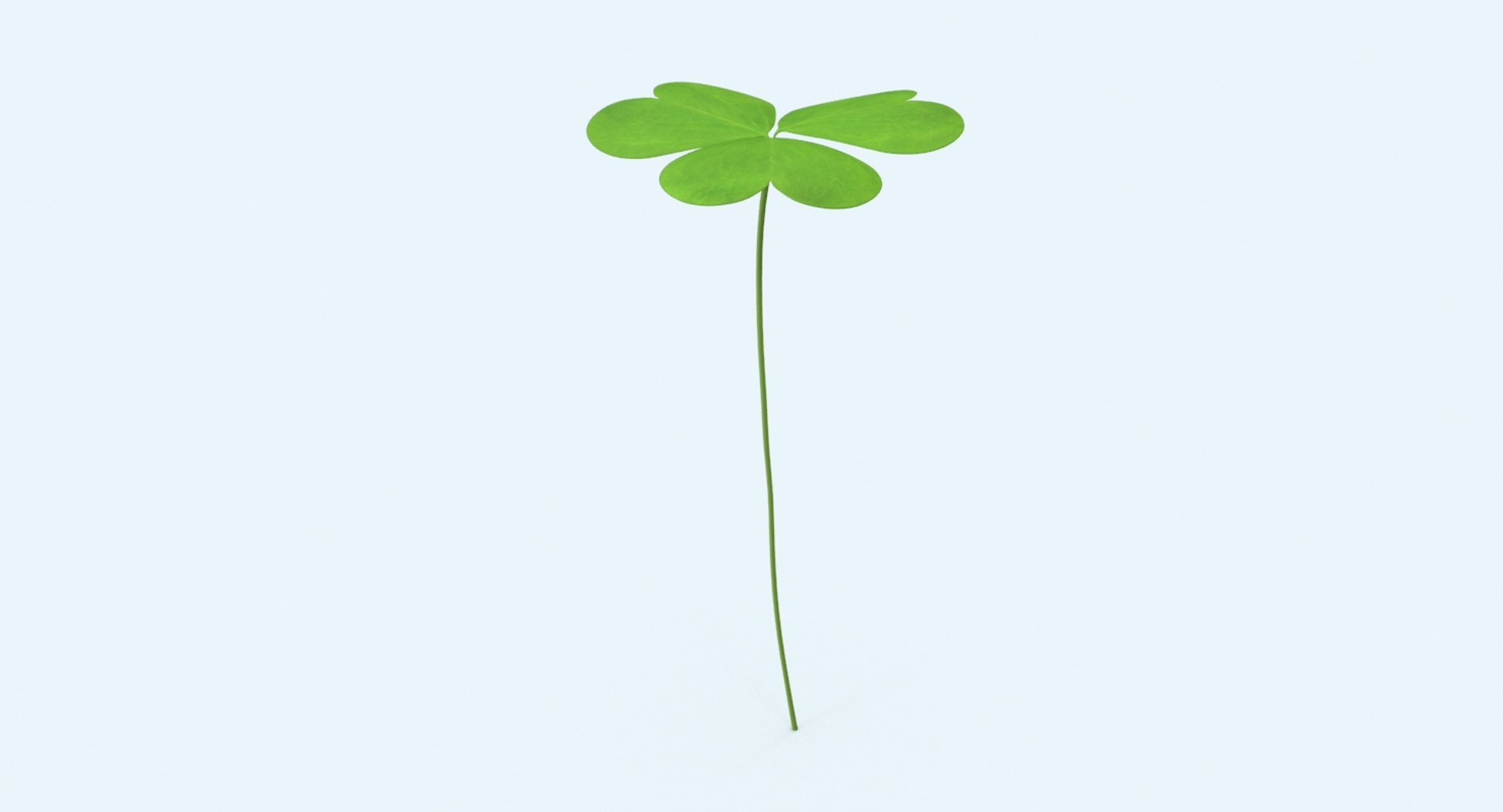 clover single standing 3d model https://p.turbosquid.com/ts-thumb/8H/I0yBFR/uQGIaTnb/clover_single_standing_productshot_0002/jpg/1487800764/1920x1080/fit_q87/71f802c0977533fdcb71c308a02db3519b8fe542/clover_single_standing_productshot_0002.jpg