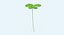 Clover Single Standing