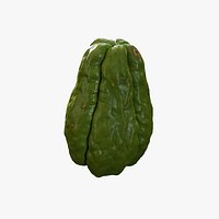 Anydrafts Sechium edule 01