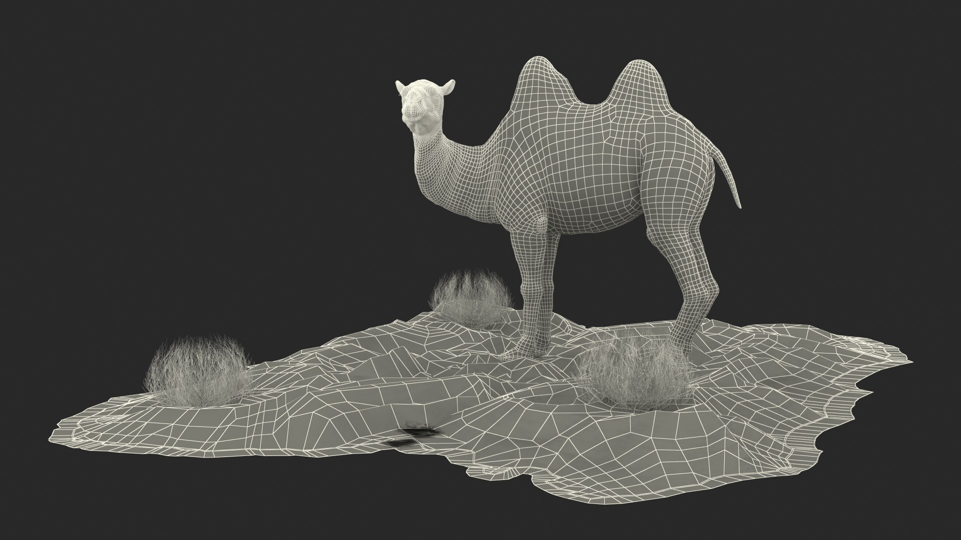 3D Bactrian Camel on Desert Sand Fur https://p.turbosquid.com/ts-thumb/8H/bZwaty/0s/bactriancamelondesertsandfurc4dmodel031/jpg/1724683617/1920x1080/fit_q87/aa08d8d8a58f9f79f3e80427d181ba5985a5ae8f/bactriancamelondesertsandfurc4dmodel031.jpg
