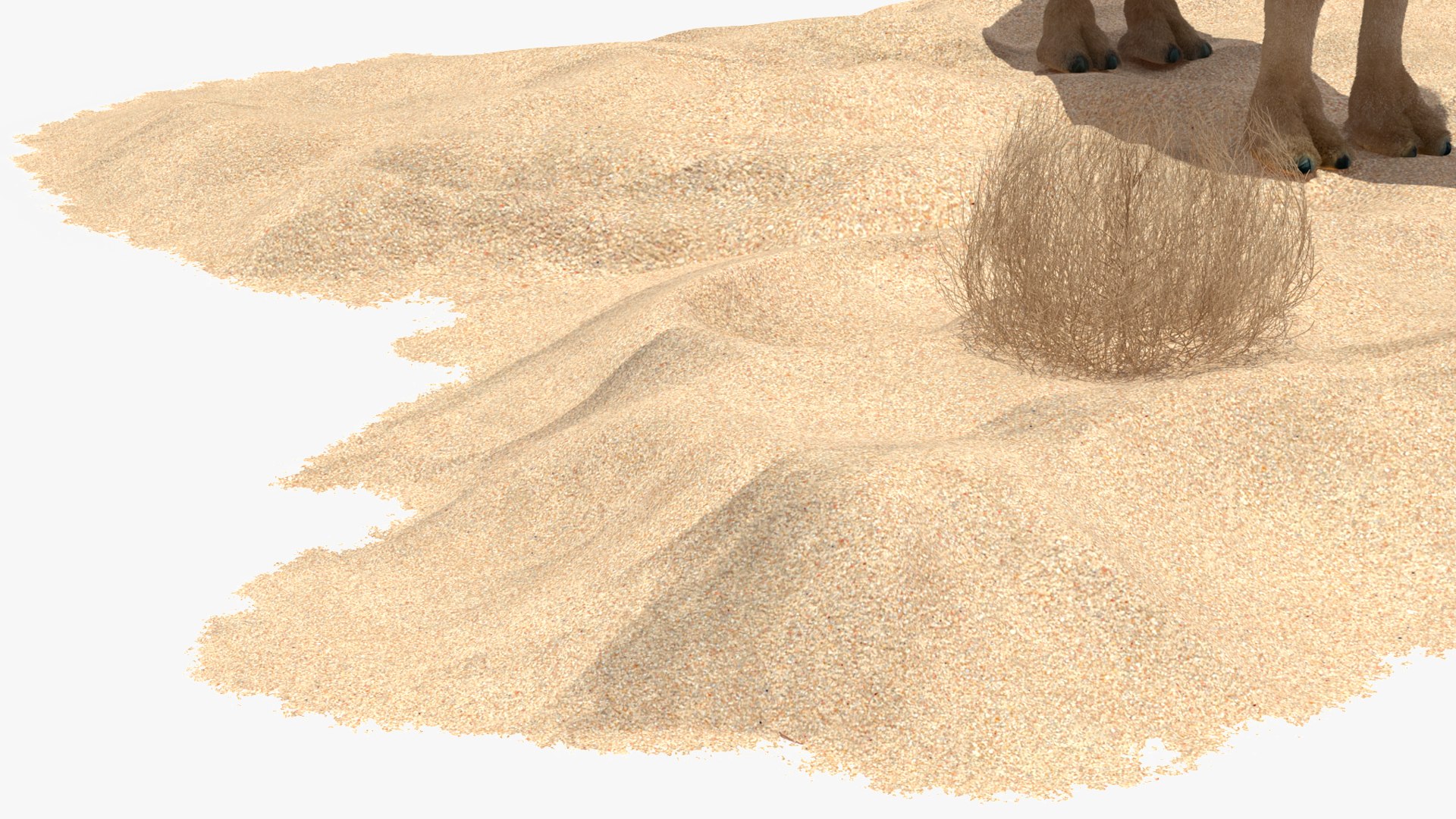 3D Bactrian Camel on Desert Sand Fur https://p.turbosquid.com/ts-thumb/8H/bZwaty/4A/bactriancamelondesertsandfurc4dmodel022/jpg/1724683581/1920x1080/fit_q87/152483043ea958abaf3563778455289979ffcc00/bactriancamelondesertsandfurc4dmodel022.jpg