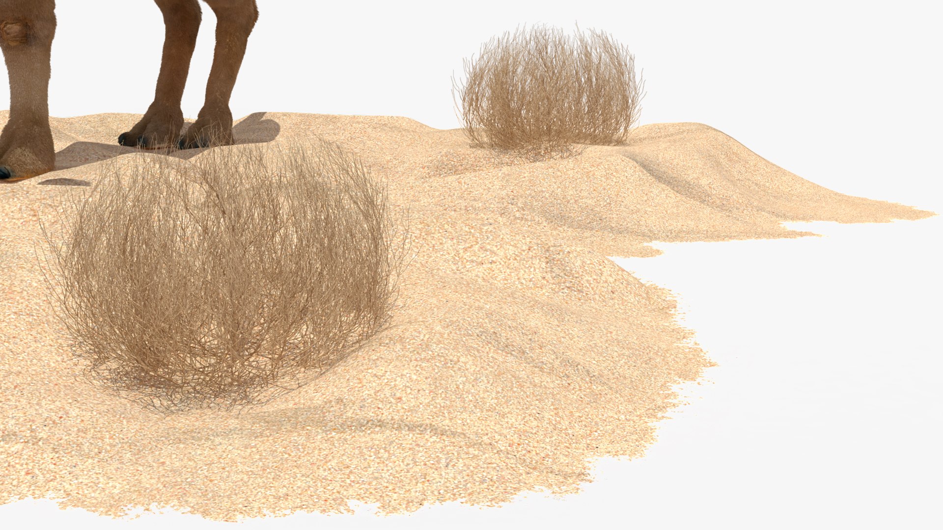 3D Bactrian Camel on Desert Sand Fur https://p.turbosquid.com/ts-thumb/8H/bZwaty/g8/bactriancamelondesertsandfurc4dmodel023/jpg/1724683585/1920x1080/fit_q87/94c73f0f262fe3d341d3a4e7954788f54a5bfc15/bactriancamelondesertsandfurc4dmodel023.jpg