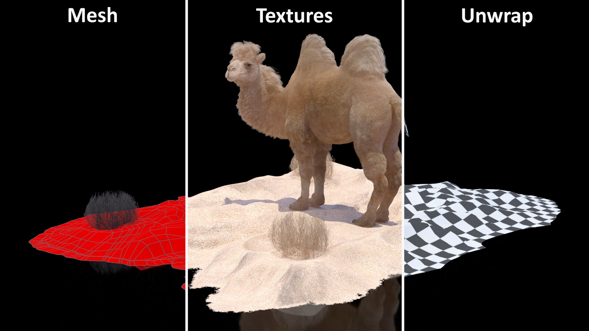 3D Bactrian Camel on Desert Sand Fur https://p.turbosquid.com/ts-thumb/8H/bZwaty/kN/bactriancamelondesertsandfurc4dmodel026/jpg/1724683597/1920x1080/fit_q87/35d54251d827ed48359e4a6d81e52fb4805a63a7/bactriancamelondesertsandfurc4dmodel026.jpg