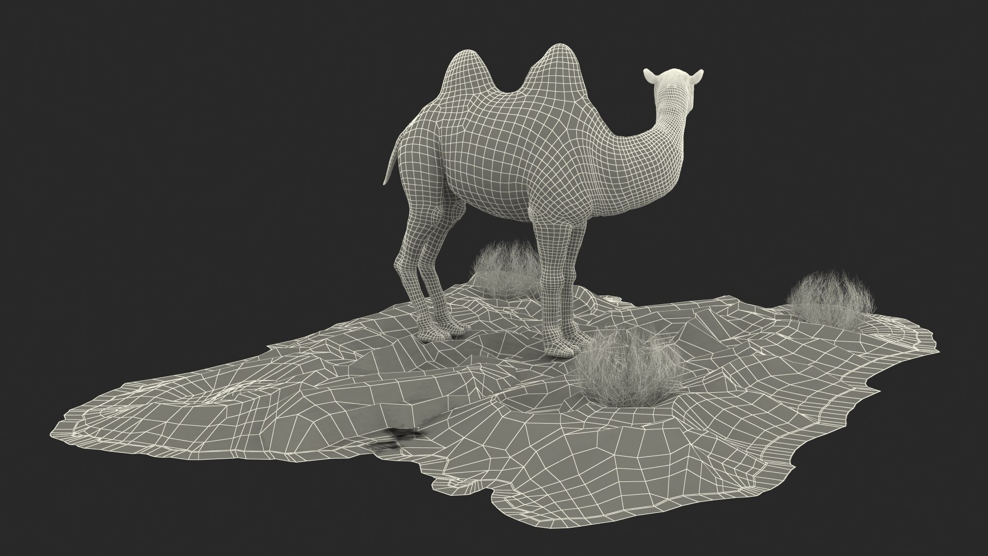 3D Bactrian Camel on Desert Sand Fur https://p.turbosquid.com/ts-thumb/8H/bZwaty/nz/bactriancamelondesertsandfurc4dmodel032/jpg/1724683620/1920x1080/fit_q87/35aa082029164360cb932a37ea9e8b1111dba729/bactriancamelondesertsandfurc4dmodel032.jpg