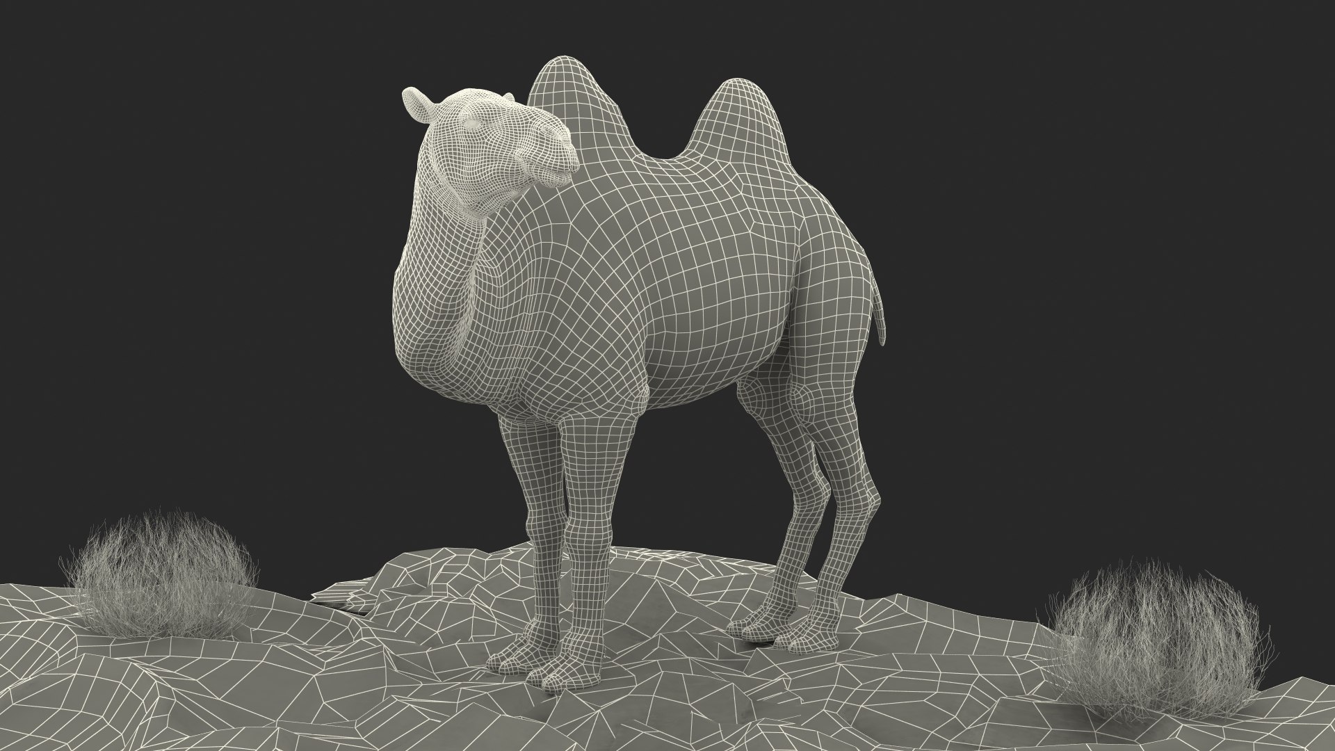3D Bactrian Camel on Desert Sand Fur https://p.turbosquid.com/ts-thumb/8H/bZwaty/oH/bactriancamelondesertsandfurc4dmodel034/jpg/1724683628/1920x1080/fit_q87/bec55d6566f8d6defeb9fdb303c9d6df0083229b/bactriancamelondesertsandfurc4dmodel034.jpg