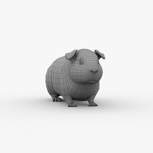 3D guinea pig basemesh model