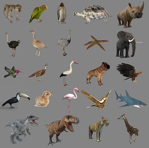 3D model Animals And Birds Mega Collection