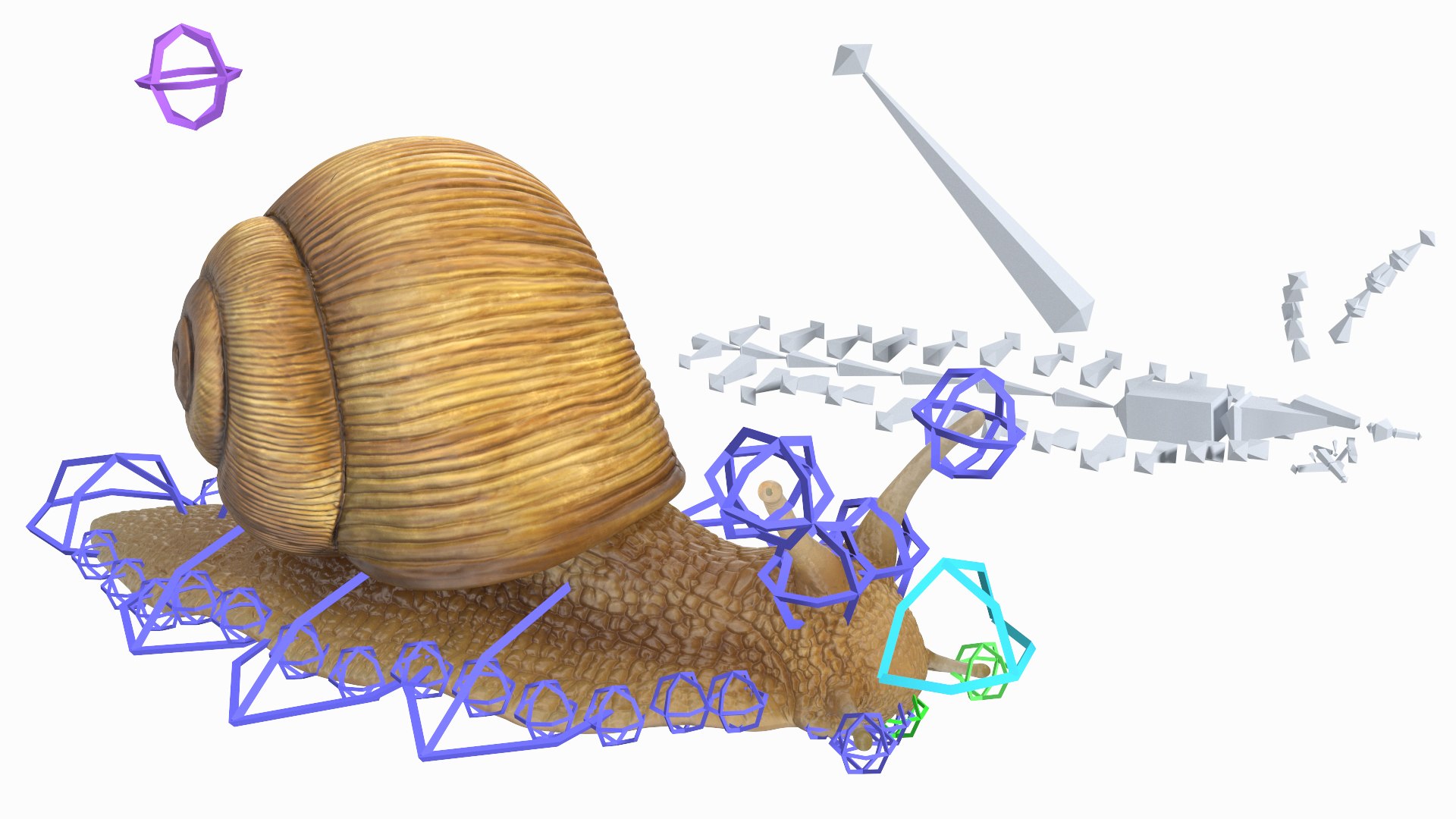 Garden Snail Rigged 3D Model - TurboSquid 2184747