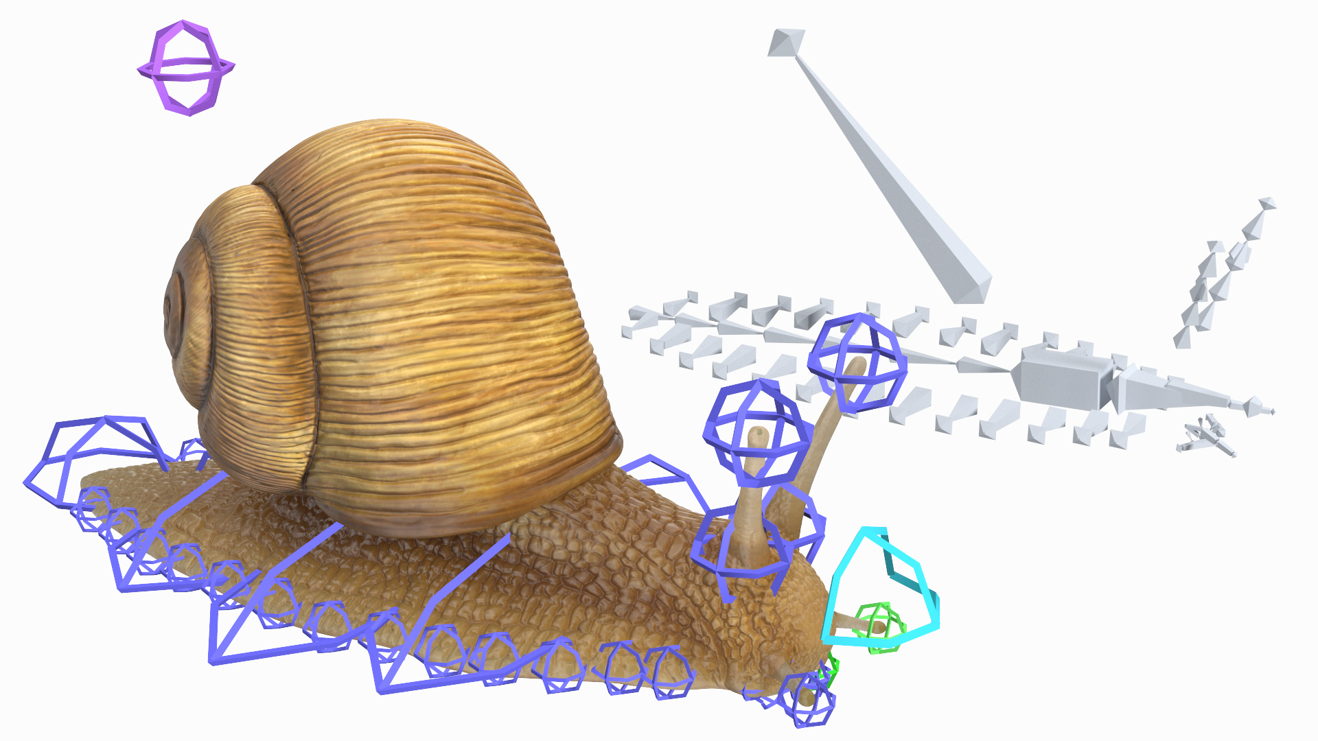 Garden Snail Rigged 3D Model - TurboSquid 2184747