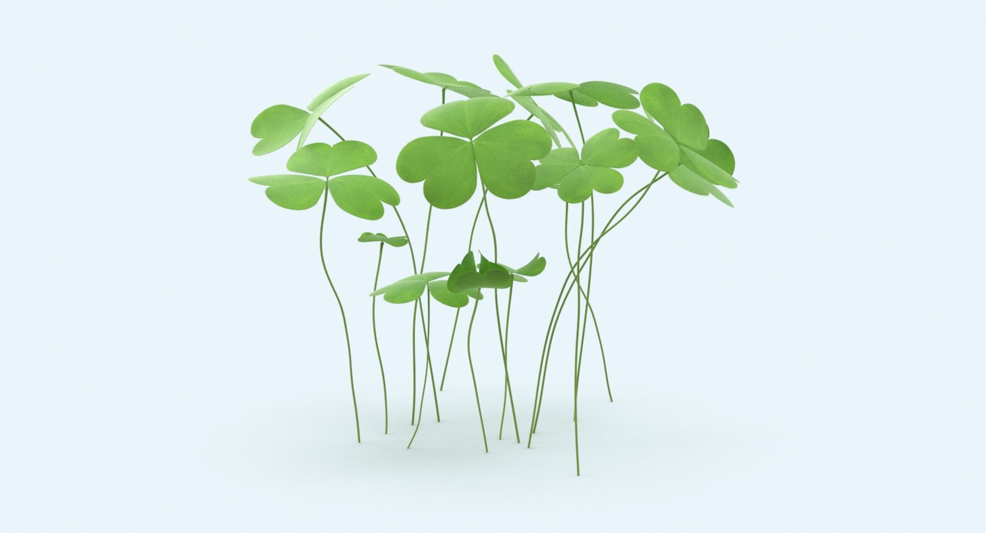 Clover Staggered Group Max