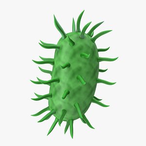 Virus Cell Stylized 3D model