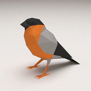 Bird - Bullfinch