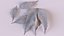 Neem leaves 3D model