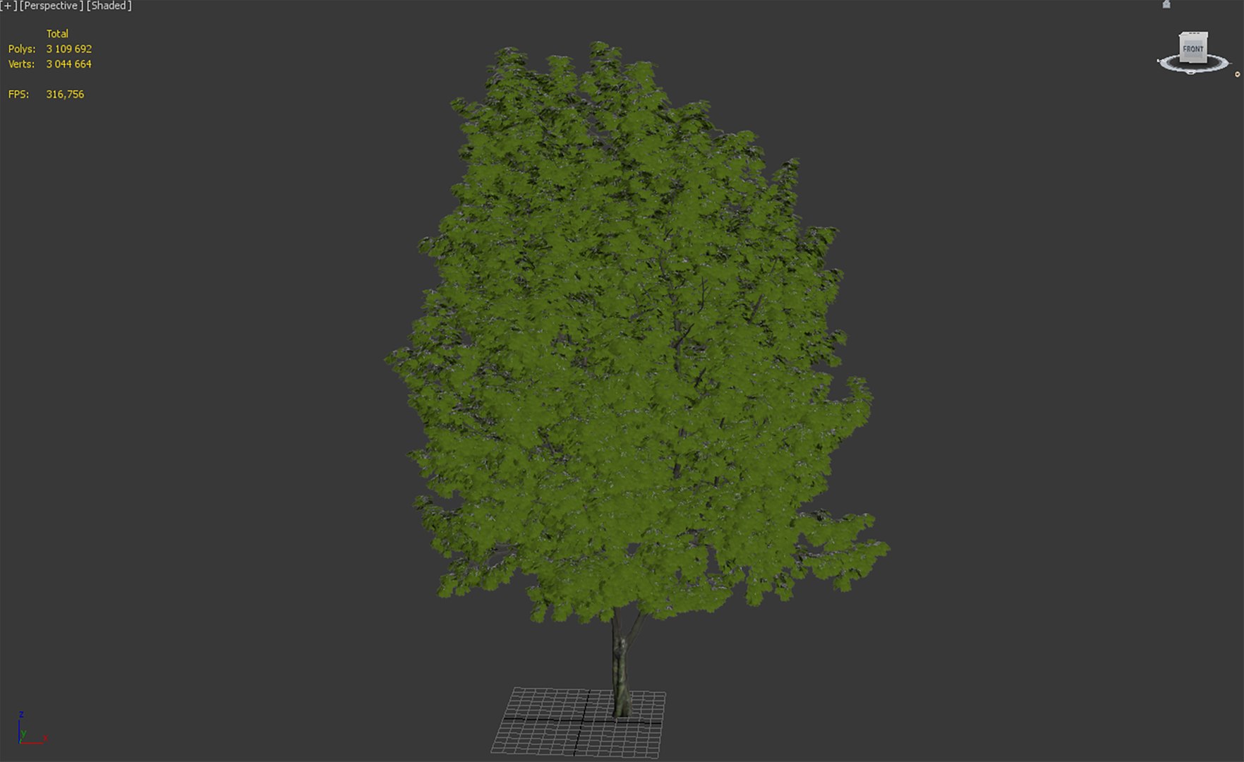 3D tree maple model - TurboSquid 1692671